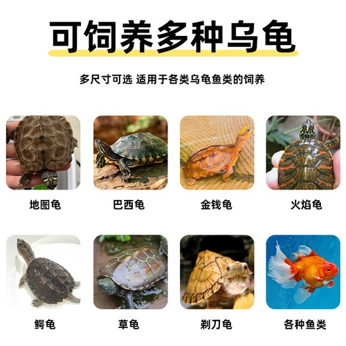 乌龟饲养缸带盖带晒台生态造景家用小型爬宠饲养箱桌面客厅小鱼缸 - 图0