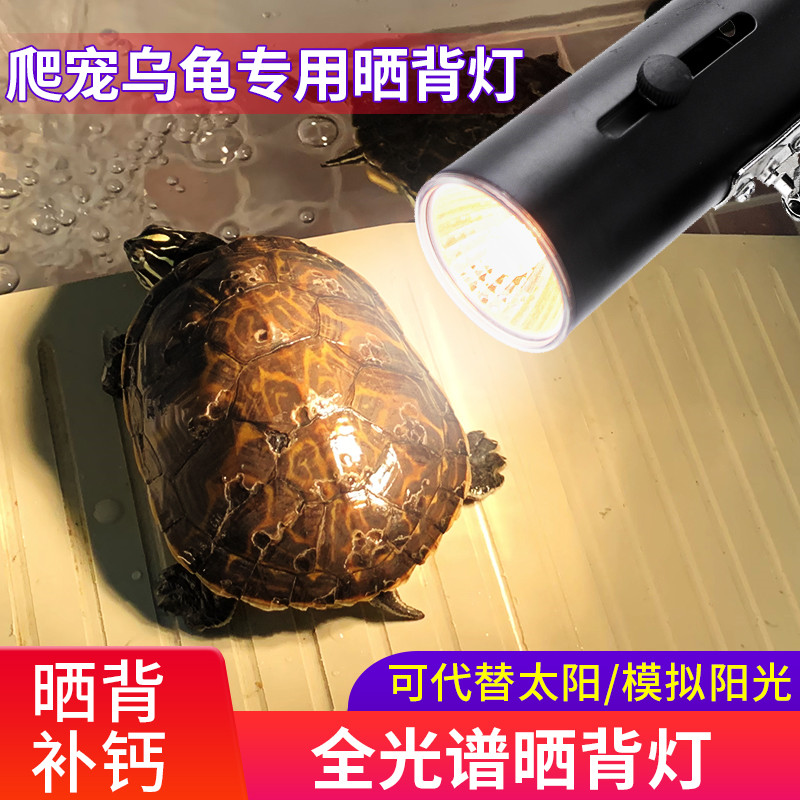 乌龟晒背灯爬宠加热灯泡取暖红外陶瓷晒灯可调节补钙保温全光谱灯_虎窝淘