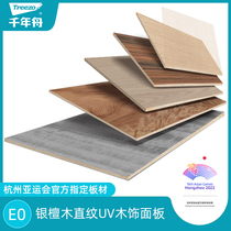 Millennium boat E0 grade simple environmental protection multiple material straight grain UV wood veneer wall panel