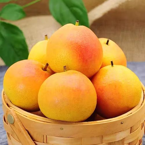 正宗鞍山特产南果梨新鲜水果当季东北辽宁南国梨红果小香梨子顺丰 - 图0