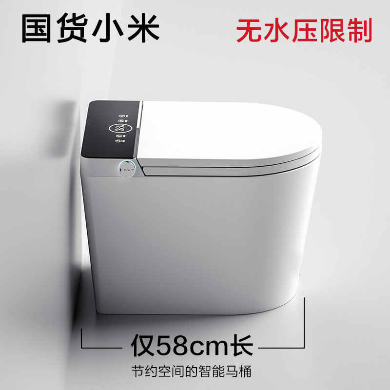 隐藏式坐便器 新人首单立减十元 22年2月 淘宝海外