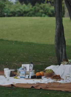 野餐布垫防水野餐道具网红户外春游拍照ins风露营便携野炊垫白色