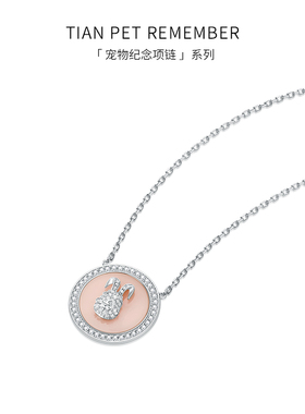 宠物定制项链吊坠猫咪TIANPET