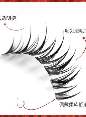 安吉猫整条漫画湿假睫毛化妆师
