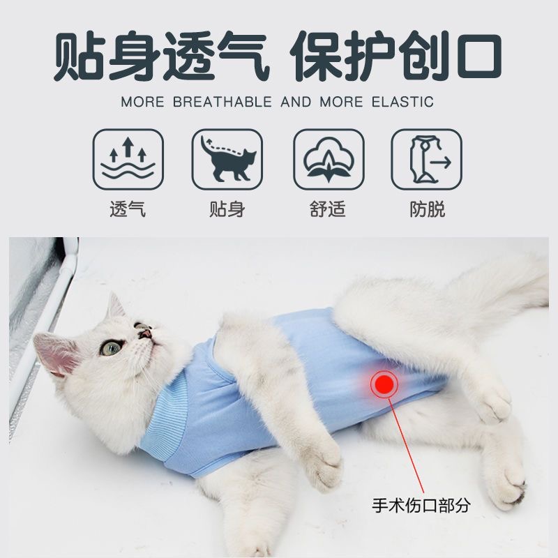 猫咪绝育服母猫手术服衣服透气戒奶服断奶服公猫防舔术后宠物猫猫 - 图3