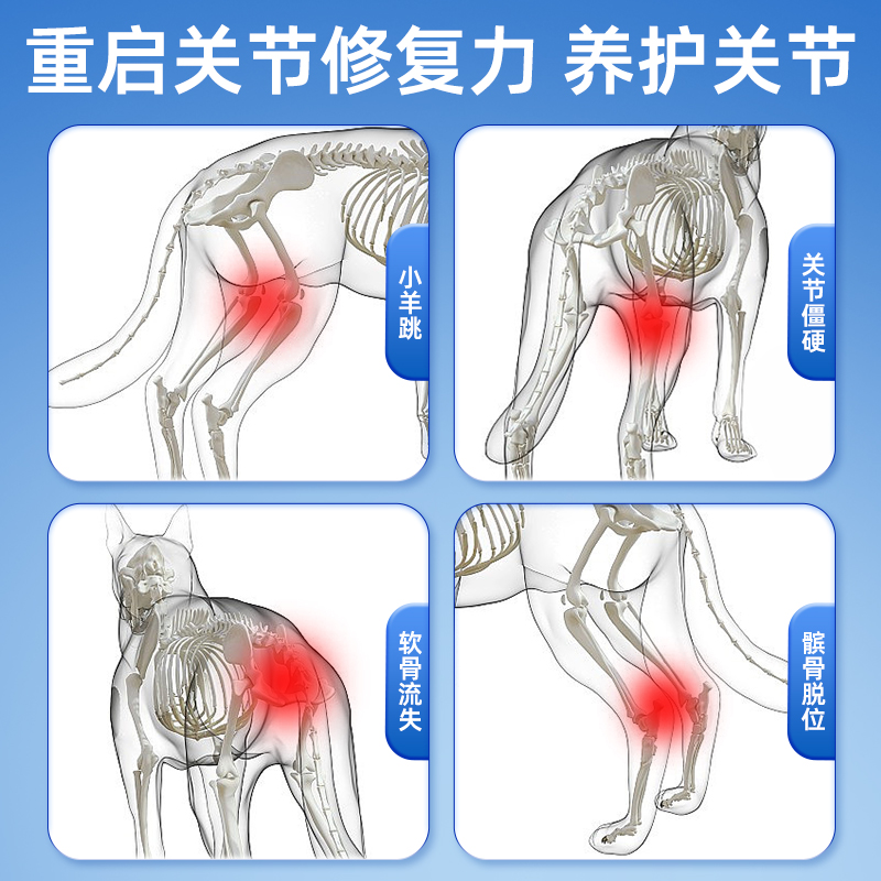 纽贝健助节骨胶原氨糖软骨素宠物猫狗关节僵硬髌骨脱位养护修复 - 图0