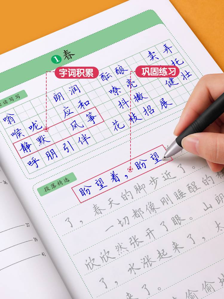 初中生专用练字帖小升初中学生初中生专用字帖练字七八九年级语文字帖每日一练人教版同步衡水体正楷硬笔书法楷书临摹钢笔字练字本
