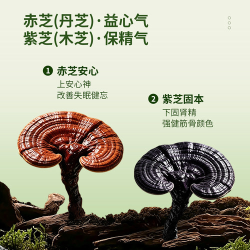 华农原实灵芝石斛牛奶200ml盒装营养早餐奶补钙健康奶 - 图2