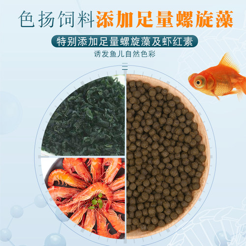 海豚锦鲤饲料金鱼专用鱼食不浑水鱼料饲料增色赠体增肥家用鱼粮
