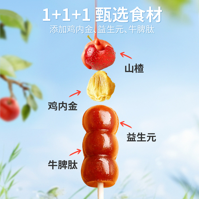 心迪妈妈山楂棒棒糖鸡内金山楂串串牛脾肽儿童零食山楂零食水果条