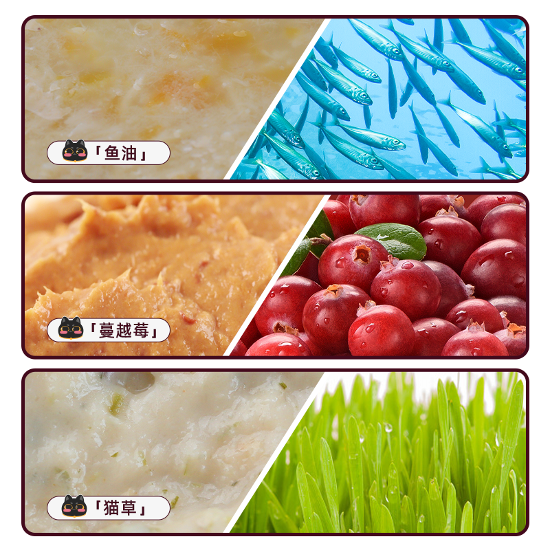 猫爸爸的厨房全价主食猫条挪威Epax鱼油蔓越莓猫草成幼猫湿粮罐头,淘宝优惠券,粉丝福利购,淘宝优惠卷