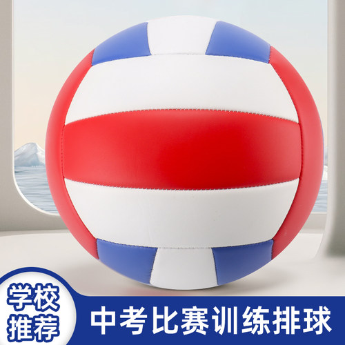 免费印名字中考专用5号排球成人初中小学生4号幼儿园儿童硬式软排 - 图3