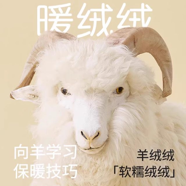 CatRen de velvet thermal underwear women's set