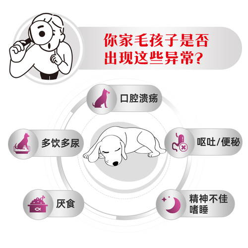 【官方正品】皇家狗粮成犬肾脏全价处方粮RF14老年护理肾脏4KG - 图1