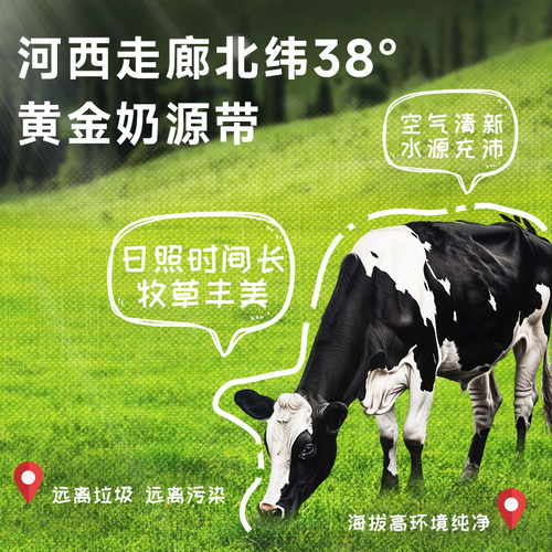 雪顿牛奶甘肃高原牧场儿童老人营养早餐奶盒装纯牛奶200ml*15 - 图2