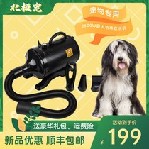 Arctic Pets Blowing Machine Dogs Hair Dryer High Power Pet Large Canine Fur Kitty Household Drying Blow
