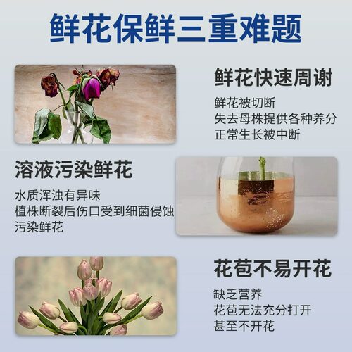 可利鲜荷兰进口HVB保鲜剂鲜切花营养液延长剂家用通用型花店专用 - 图0