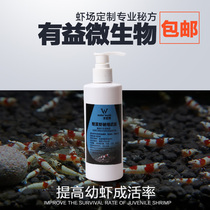 Crystal Shrimp Secret Weapon Exploits Not Secret Ornamental Shrimp Crystal Shrimp Breeding Supplies Help Water Grass Grow