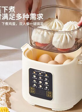 家用小型煮蛋器新款蒸煮一体