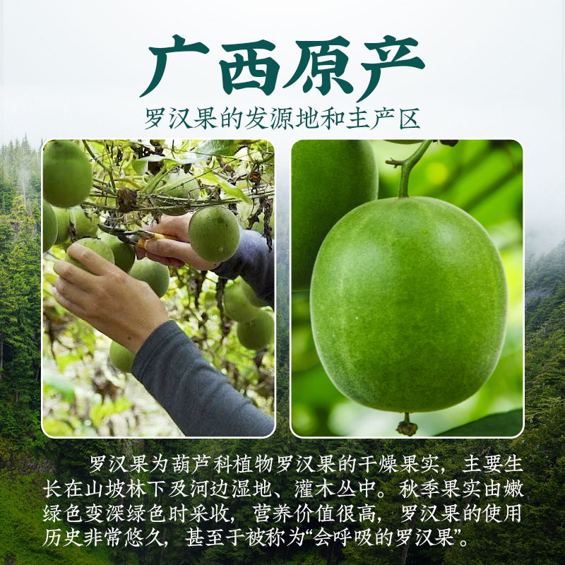 罗汉果黄金干果花茶大果茶小包装旗舰店大广西桂林特产永福正品 - 图0