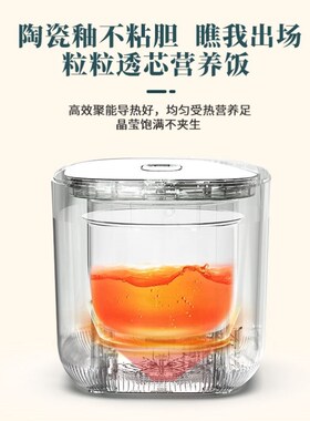德国进口智能小型电饭煲宿舍迷你1-3人多功能老式电饭锅家用新款.