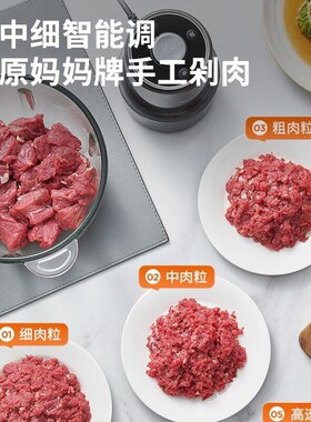 九阳绞肉机2.6L升五档智能电动绞馅机家用多功能料理搅拌机碎肉机