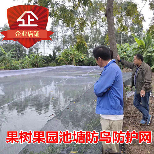 防鸟网白色抗老化尼龙果园果树养殖天网葡萄樱桃枇杷鱼塘水稻枸杞 - 图3