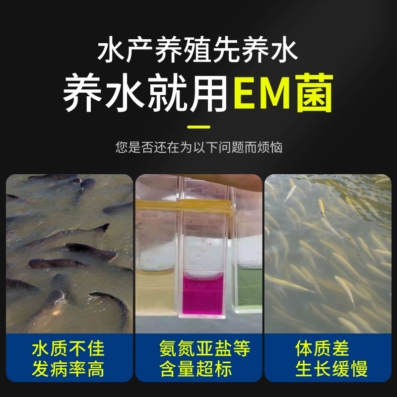 渔美惠em菌种水产养殖专用调水益生菌原种鱼塘复合芽孢杆菌浓缩粉 - 图1