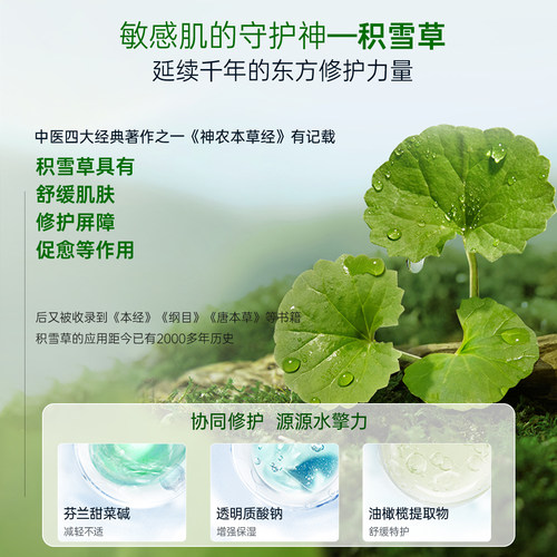斐思妮绿膜积雪草植物修护贴维稳舒缓敏感肌补水保湿面膜官方正品 - 图2