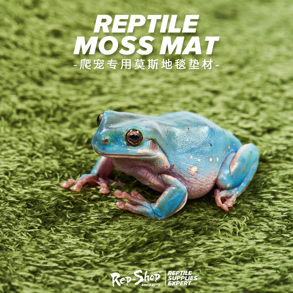 角蛙垫材莫斯地毯爬宠饲养盒保湿莫丝地垫两栖爬虫乌龟雨林缸造景,淘宝优惠券,粉丝福利购,淘宝优惠卷