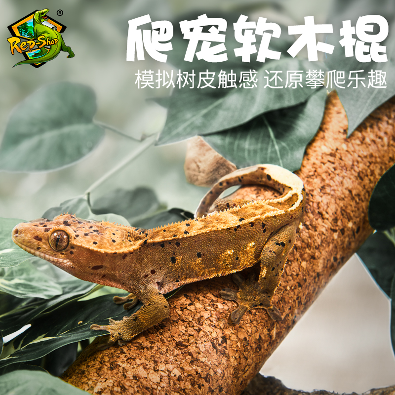 Rep-shop守宫攀爬软木棒爬宠树栖爬虫睫角盖勾亚R属树蛙茶棍造景-图0