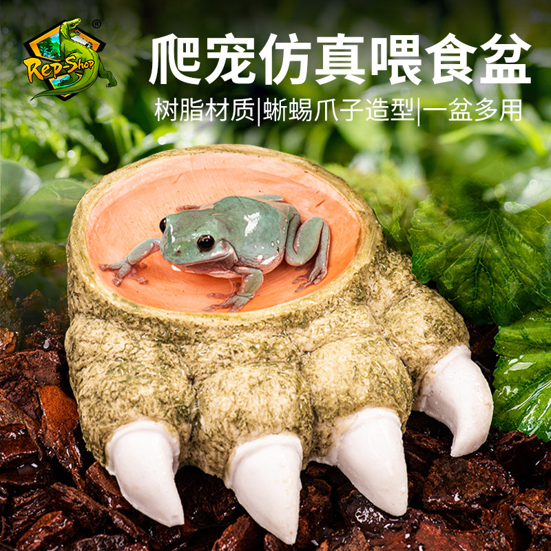 守宫蜘蛛寄居蟹角蛙水盆爬宠蜥蜴食盆泡澡盆爬虫饲养箱创意造景,淘宝优惠券,粉丝福利购,淘宝优惠卷