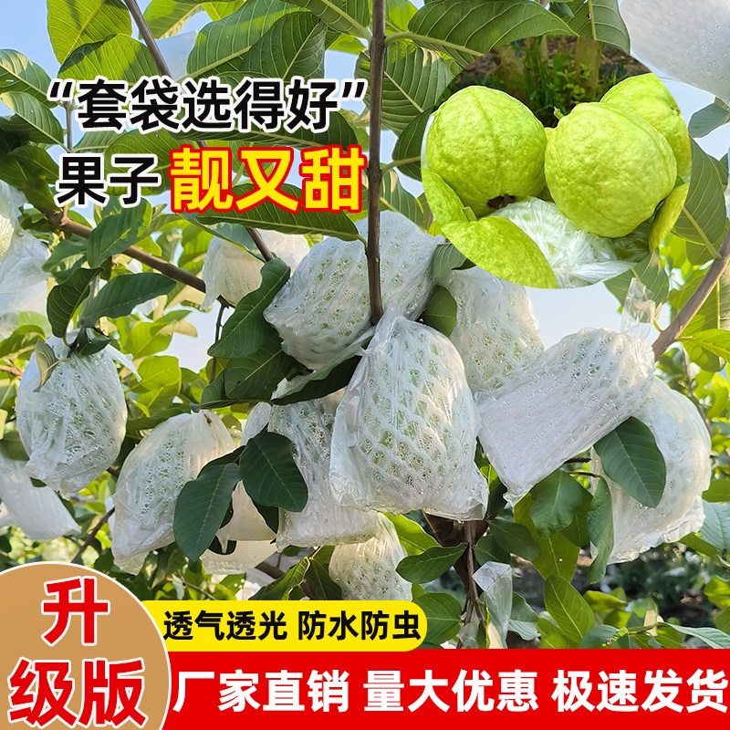 番石榴套袋防虫网袋专用一体泡沫包装袋石榴加厚袋芭乐水果网套,淘宝优惠券,粉丝福利购,淘宝优惠卷