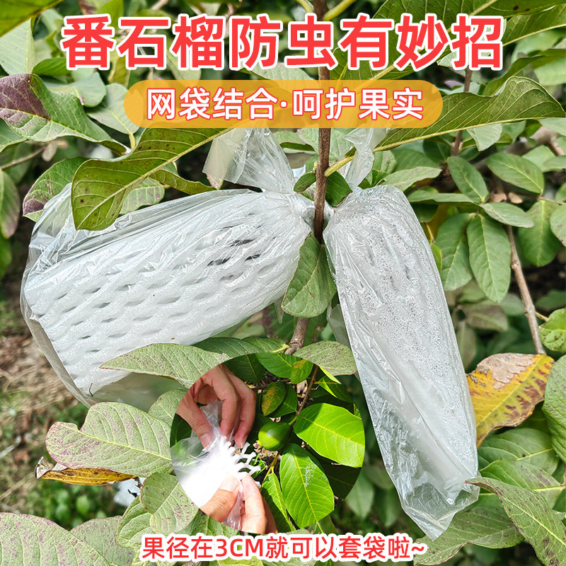 番石榴套袋防虫网袋专用一体泡沫包装袋石榴加厚袋芭乐水果网套,淘宝优惠券,粉丝福利购,淘宝优惠卷