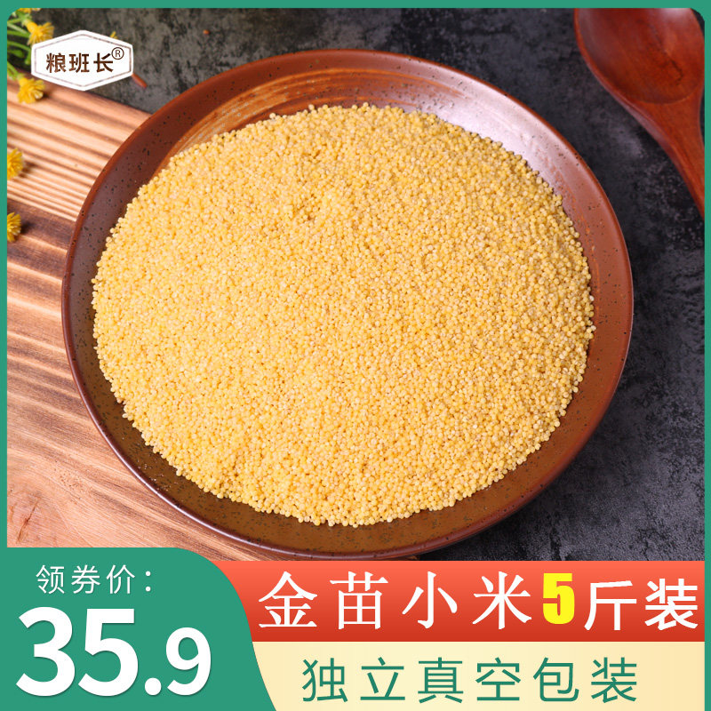 粮班长5斤杂粮赤峰金苗月子米小米 粮班长食品小米