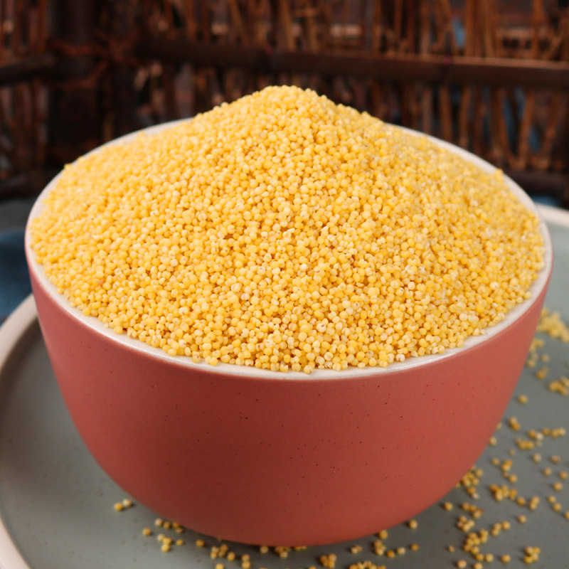 粮班长5斤杂粮赤峰金苗月子米小米 粮班长食品小米