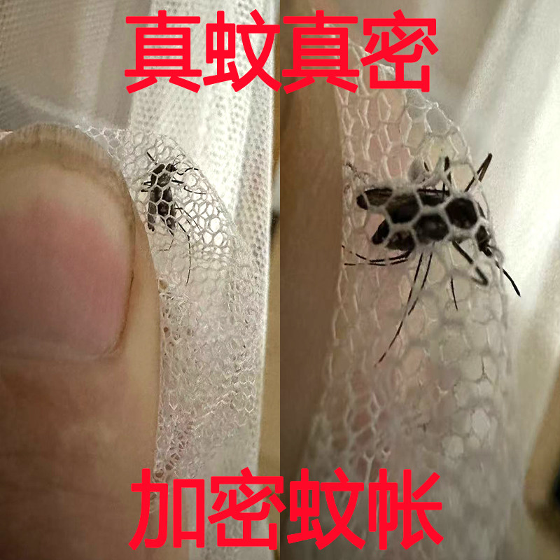 2025新款落地单开门一开门蚊帐家用卧室传统老式支架杆加粗加厚密,淘宝优惠券,粉丝福利购,淘宝优惠卷