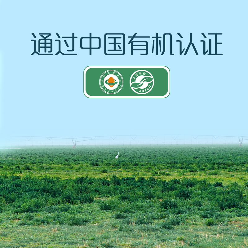 圣牧有机纯牛奶品醇200ml*12盒1箱早餐牛奶整箱特价正品