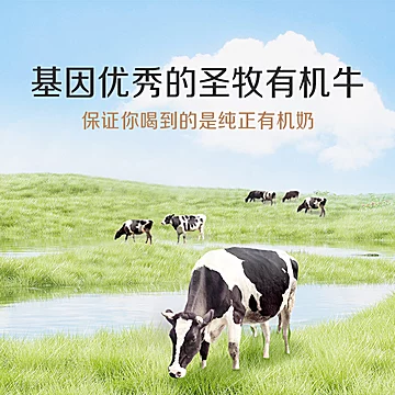 圣牧有机纯牛奶200ml*10盒*4箱[48元优惠券]-寻折猪