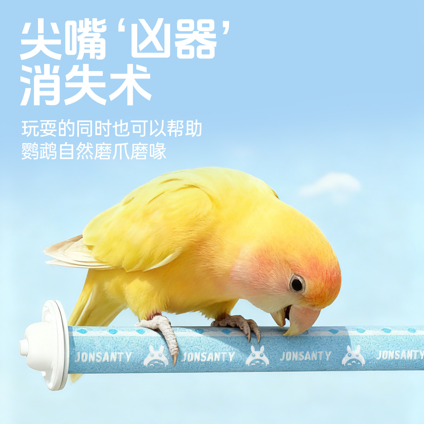 宠尚天鹦鹉站杆磨爪棒鸟站架解闷玩具虎皮笼内装饰啃咬攀爬解闷,淘宝优惠券,粉丝福利购,淘宝优惠卷