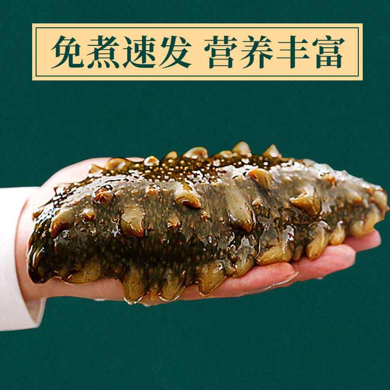 锦食岛免煮速发海参50g海渗干辽参 锦食岛明歌干品/即食海参