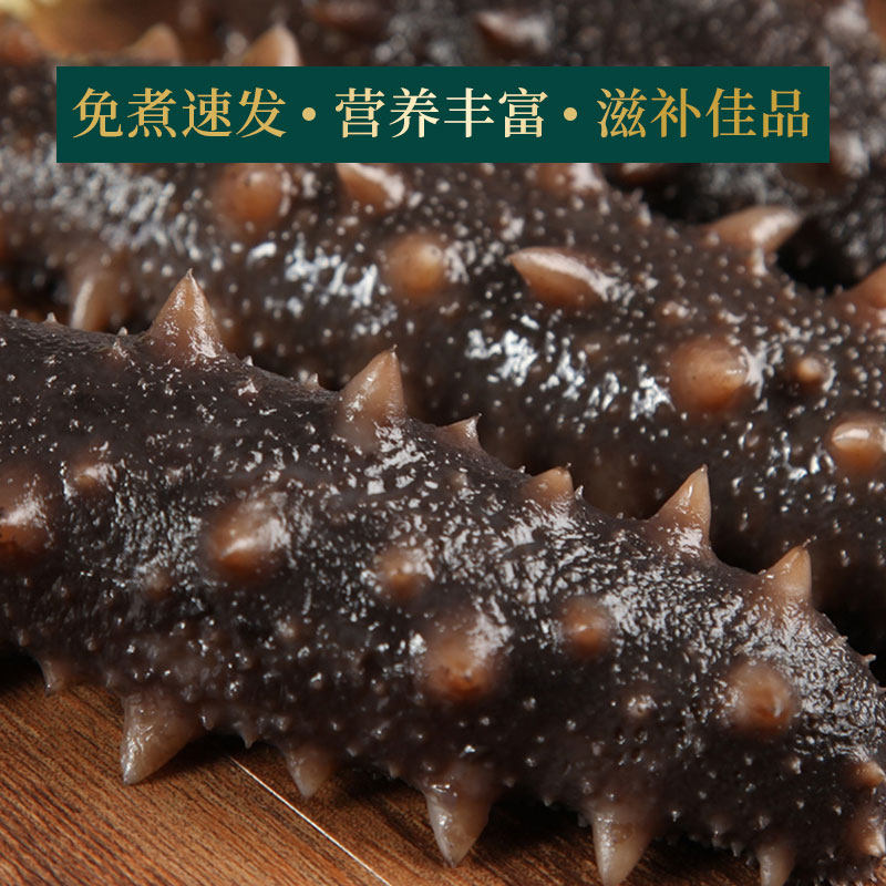 锦食岛免煮速发海参50g海渗干辽参 锦食岛明歌干品/即食海参