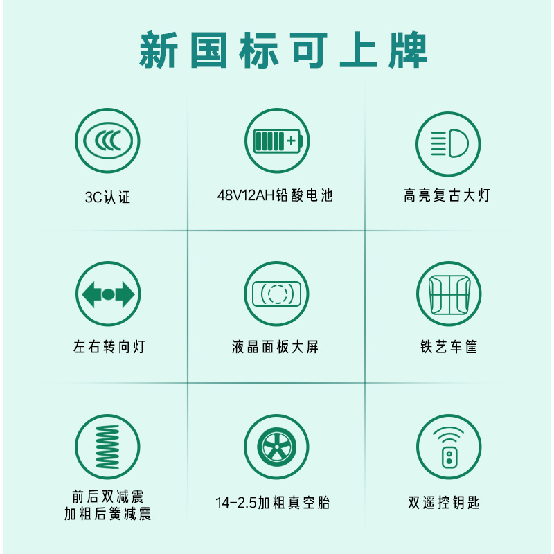 五星钻豹电动车48v新国标电动自行车续航40KM成人轻便电瓶车A24 - 图1