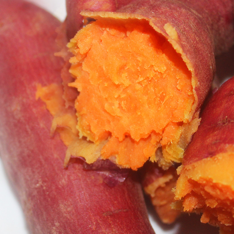 兰考西瓜红番薯黄河沙地超甜红薯 悦漾番薯