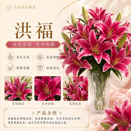 黄天霸百合花小雏菊鲜花黄色重瓣香水百合顺丰次日达插瓶水养花卉 - 图2