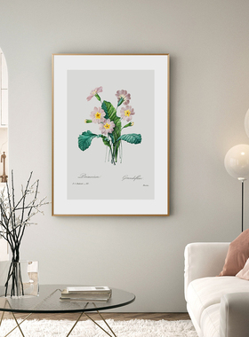 蓝雪花植物装饰画 北欧原木风清新挂画小众艺术客厅餐厅卧室壁画