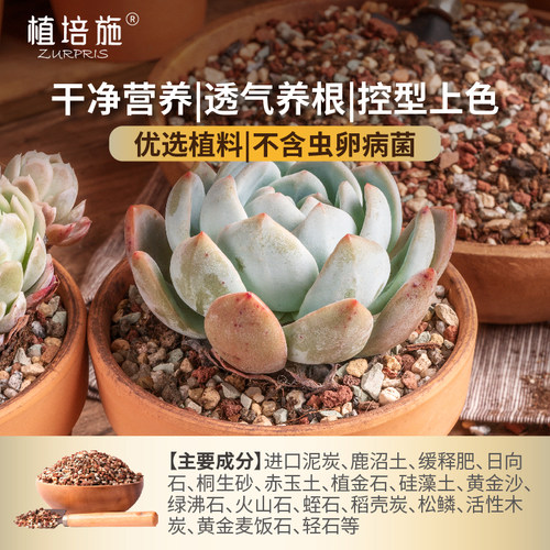多肉土专用营养土颗粒土进口家用天然脱盐小苗叶插蛭石老桩植培施 - 图0