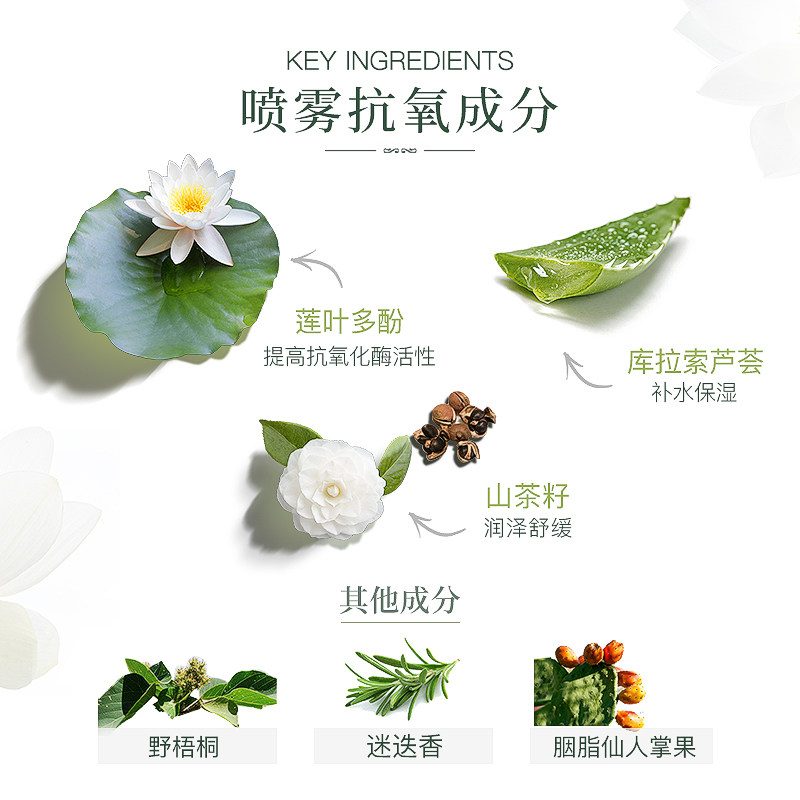 韩国济州白莲抗氧喷雾持久爽肤水 ThePureLotus海外化妆水/爽肤水