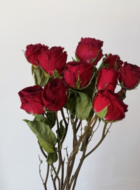玫瑰干花花束真花风干ins网红装饰家居摆件diy文艺风插花拍摄道具
