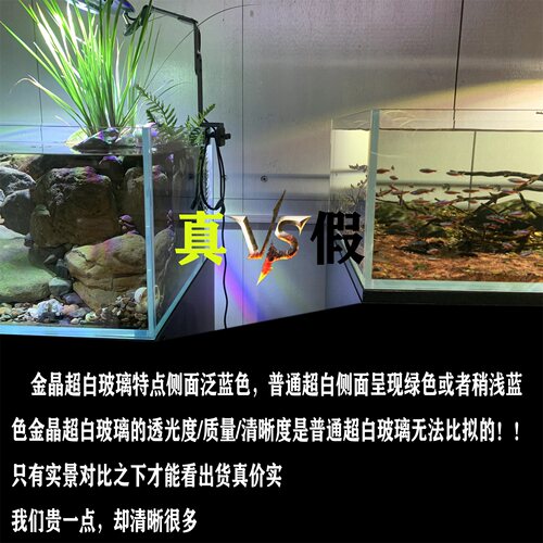 拓格定制雨林缸金晶超白带推拉门雨淋缸客厅热带生态造景爬宠养箱 - 图3